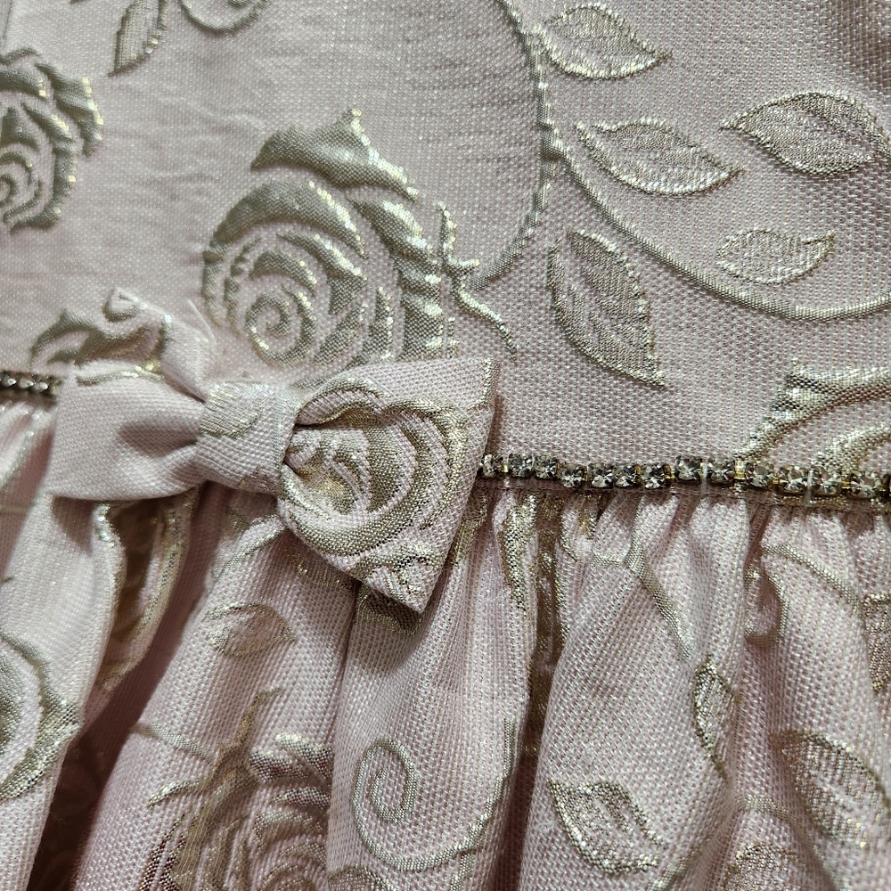 American Princess Blush and Gold Rose Dress Size 3T - Picture 3 of 9